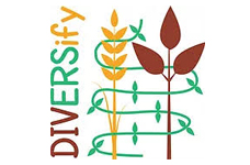 DIVERSify logo