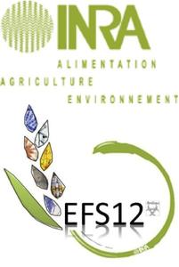 INRA and EFS logos