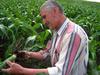 A Hungarian farmer checks root damage. Copyright: J. Papp Komaromi, Szent István University, Hungary.
