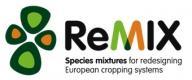 ReMIX logo