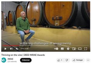 INRAE wine award