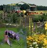 Photos from Stefan Kuehne, JKI for Agroecology summer school